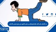 عند الاتزان على القد والساق واليدين يكون الظهر في وضع تقوس للأعلى