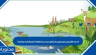 قد نجد نظام بيئي صغير يحتوى على أنواع عديده من المخلوقات الحيه والاشياء غير الحيه؟