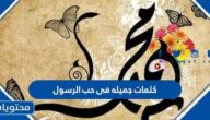 كلمات جميله في حب الرسول مكتوبة