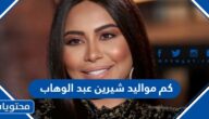 كم مواليد شيرين عبد الوهاب