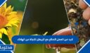 لابد من العمل الصالح مع الإيمان للنجاة من الهلاك