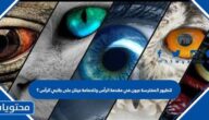 للطيور المفترسة عيون في مقدمة الرأس وللحمامة عينان على جانبي الرأس ؟