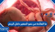 ما الفائدة من نمو الصغير داخل الرحم