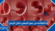 ما الفائدة من نمو الصغير داخل الرحم ؟