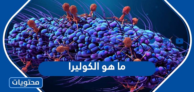 ما هو الكوليرا وما هي اعراضه وطرق الوقاية منه