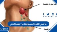 ما هي الغدة المسؤولة عن تنقية الدم