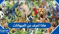 ماذا اعرف عن الحيوانات