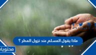 ماذا يقول المسلم عند نزول المطر ؟