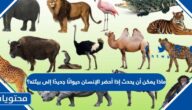 ماذا يمكن أن يحدث إذا أحضر الإنسان حيوانًا جديدًا إلى بيئته؟