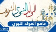 ماهو المولد النبوي