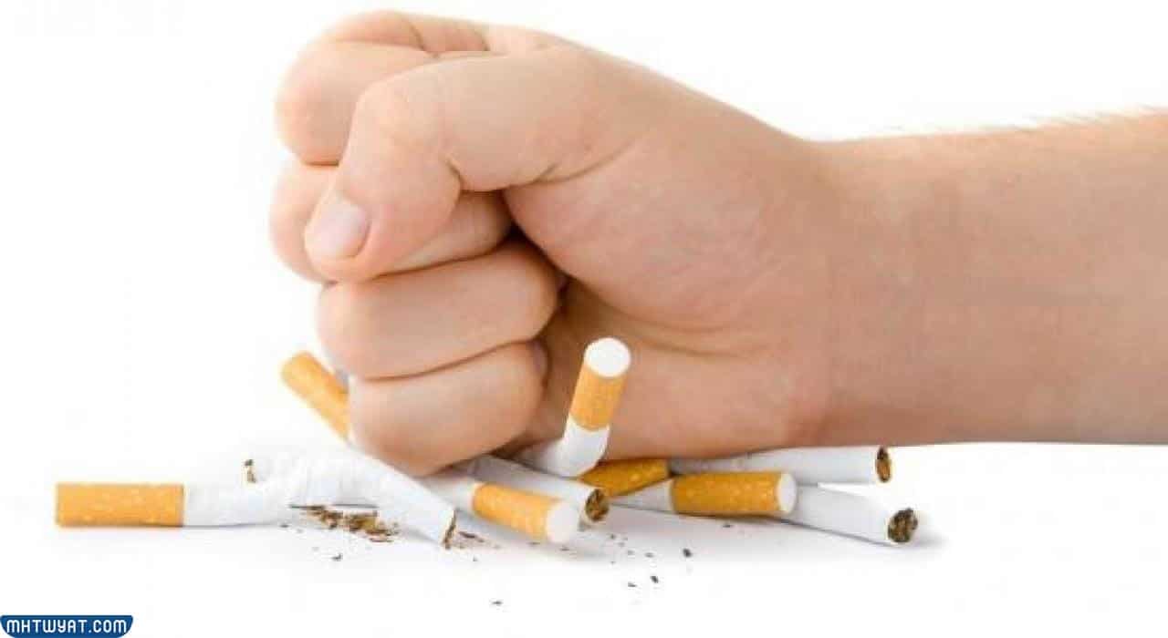 متى يعود الجسم إلى طبيعته بعد ترك التدخين