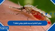 مرض الملاريا يسببه طفيل بوغي تنقله ؟