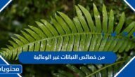 من خصائص النباتات غير الوعائية