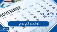 نوفمبر كم يوم 2024