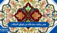 هى زخارف مشكلة من اوراق النباتات