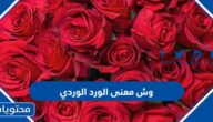 وش معنى الورد الوردي
