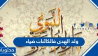 كلمات ولد الهدى فالكائنات ضياء