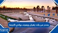 ينحدر من بلاد زهران ويعرف بوادي الخرمة