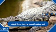 كيف يستفيد التمساح من وقت حدوث الجفاف