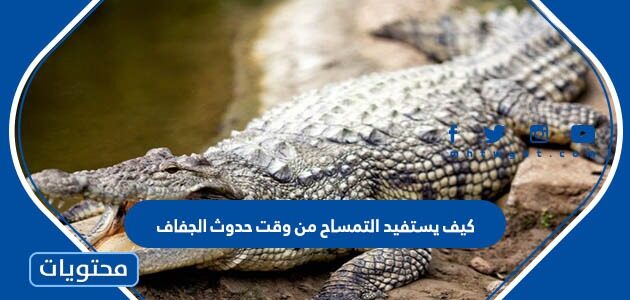 كيف يستفيد التمساح من وقت حدوث الجفاف
