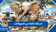 اسئلة عامة عن الحيوانات 2025 مع الحل للاطفال والكبار