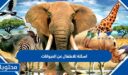اسئلة للاطفال عن الحيوانات 2026 سهلة وبسيطة للمسابقات