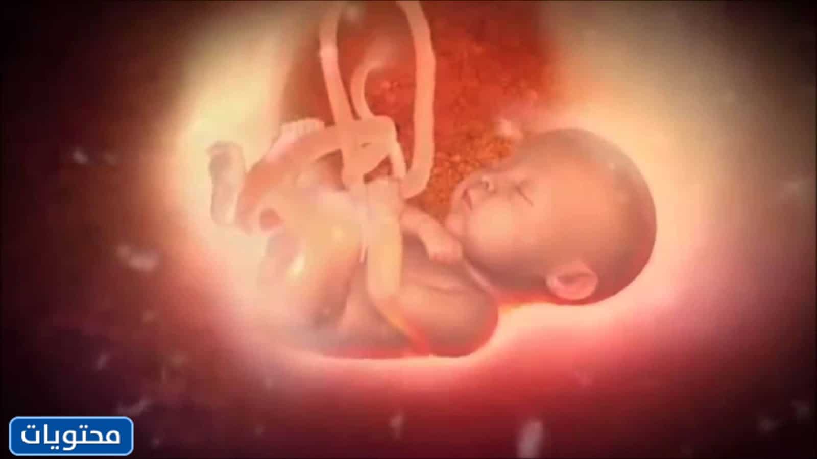 الفرق بين دم الدورة الشهرية ودم الإجهاض