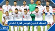 اسماء لاعبين تونس لكرة القدم 2024 واصولهم