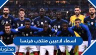 اسماء لاعبين منتخب فرنسا واصولهم