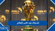 اشتراك تود كاس العالم 2022 للبث المباشر