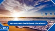 البحار والمحيطات ما وجه التشابه والاختلافات فيما بينهم