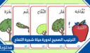 الترتيب الصحيح لدورة حياة شجرة التفاح