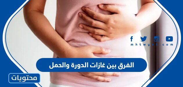ما الفرق بين غازات الدورة والحمل
