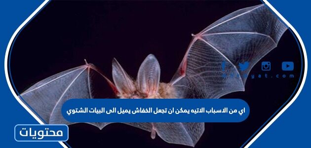 اي من الاسباب الاتيه يمكن ان تجعل الخفاش يميل الى البيات الشتوي