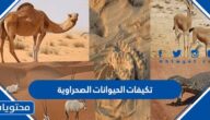 تكيفات الحيوانات الصحراوية