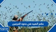حكم الصيد في حدود الحرمين