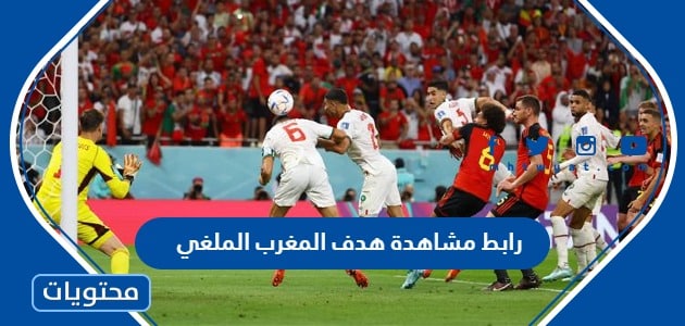 رابط مشاهدة هدف المغرب الملغي في بلجيكا كاس العالم 2022