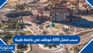 سبب فصل 600 موظف في جامعة طيبة