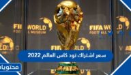 سعر اشتراك تود كاس العالم 2022