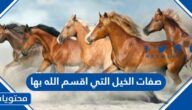 صفات الخيل التي اقسم الله بها