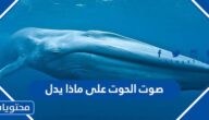 صوت الحوت على ماذا يدل