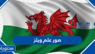 صور علم ويلز