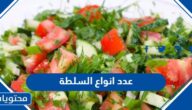 عددي انواع السلطة