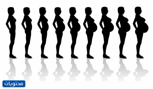 علامات الحمل المبكرة بعد التبويض