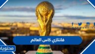 قواعد فانتازي كاس العالم 2022 وكيف تلعب