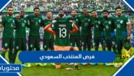 فيديو فرص المنتخب السعودي مع بولندا كاس العالم