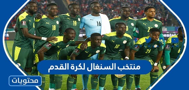قائمة منتخب السنغال لكرة القدم في كاس العالم 2022