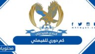 كم دوري للفيصلي للان 2025