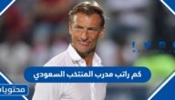 كم راتب مدرب المنتخب السعودي في كاس العالم 2022