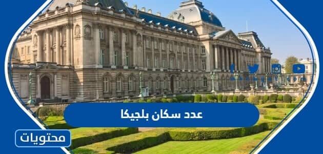 كم عدد سكان بلجيكا 2025